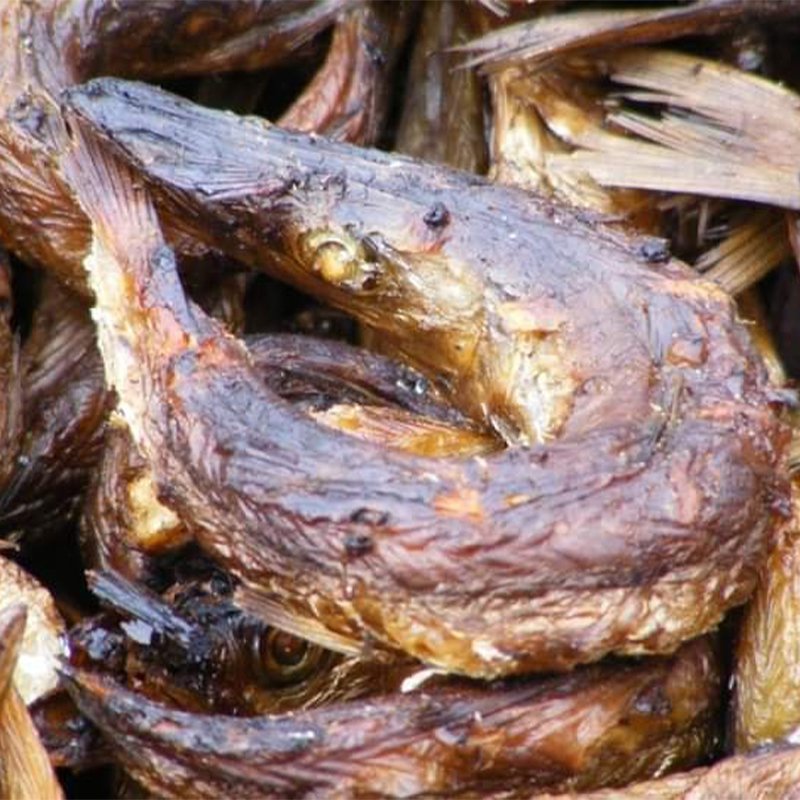 mendyinternnationaltrading