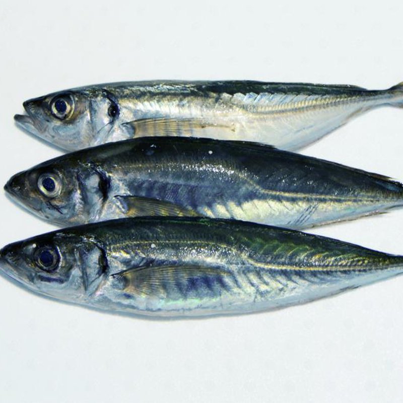 mendyinternnationaltrading